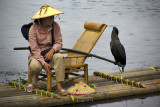Cormorant fishing, Guilin