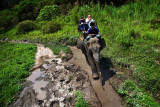 Elephant ride