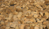 Lots of sponges