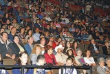 Mariachi Fans 2008-03.jpg