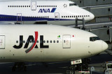 JAL ANA AIRCRAFT FUK RF 1819 13.jpg