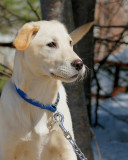 DSC06653 - Jake