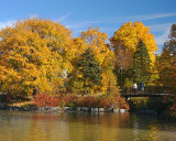 Bowring Park Autumn Colors 005