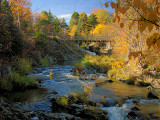 Bowring Park Bridges 007**WINNER**