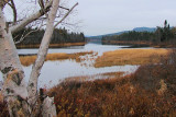 Terra Nova River 004