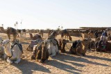 tunisie, douz_dsc2993.jpg