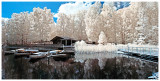 Color Infrared