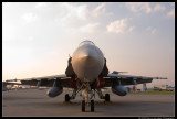 Canadian CF-18 Hornet