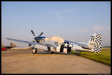 P-51 Mustang