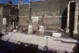 Rome Fora 034.jpg