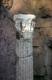 Rome Fora 038.jpg