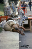 Rome Fora 056.jpg