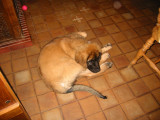 20031012071144_109-0941_img.jpg