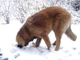 20040127151415_P1271374.jpg