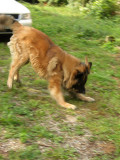20050803094729_DSCN0974.jpg