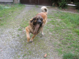20050807155722_DSCN0989.jpg