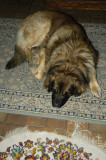 20060114180239__DSC1879.jpg