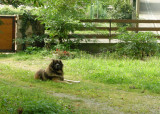 20070902101104_DSCN0336crop.jpg