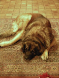 20080203015331_DSCN0617_1.jpg