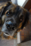 20090613150223__DSC4225.jpg