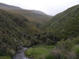 1_0_Paramo near Quito.JPG
