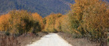 Autumn colours
