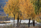 Autumn colours