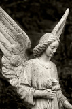 _MG_9183 highgate cemetery.jpg