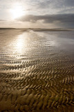 _MG_4757 holkham.jpg