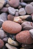 4964 Sidmouth, Devon.jpg