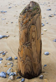 _MG_5747 mundesley.jpg