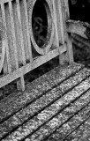 _MG_5979 sheffield park garden2.jpg