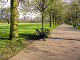 IMG_0986 greenwich.jpg