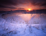 Glacial Park, McHenry Co. IL