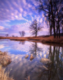 13 Glacial Park, McHenry County, IL