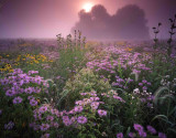 3 Glacial Park, McHenry County, IL