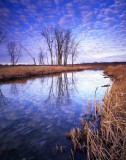 85 Glacial Park, McHenry County, IL