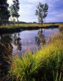 88 Glacial Park, McHenry County, IL
