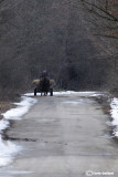 Bulgaria