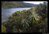Johnston Tarn #4