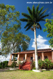 Pacoti, Serra de Baturité, Ceara 8541