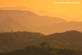 Pico Alto, Pacoti, Serra de Baturite, Ceara 8563