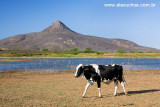 Pico do Cabugi, Lages, Rio Grande do Norte 0343.jpg