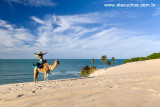 Praia de Genipabu, Extremoz, Rio Grande do Norte 1531.jpg