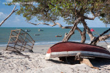 Praia da Barrinha, Acarau, Ceara 006