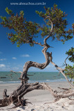 Praia da Barrinha, Acarau, Ceara 009