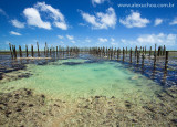 Curral de Peixe, Praia das flexieiras, Ceara, Brazil, 09, 18dez09-5.jpg
