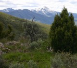 View of Scout Mountain