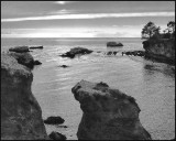 Shell Beach .jpg