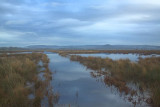 The main drain on the Crom Mhin marsh
